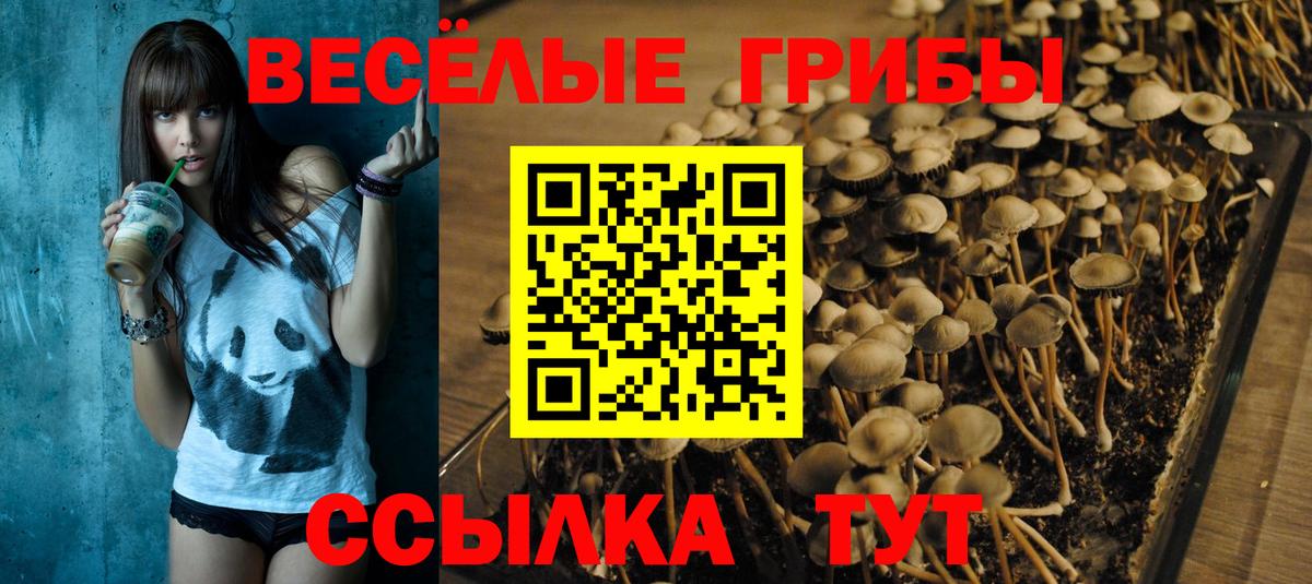 Псилоцибиновые грибы мухоморы  Вход с VPN  Саки 
